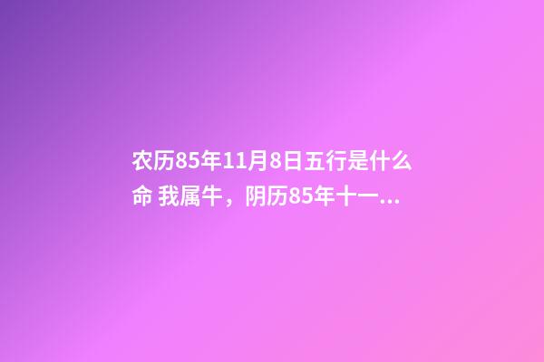 农历85年11月8日五行是什么命 我属牛，阴历85年十一月初一，属什么命，缺什么-第1张-观点-玄机派